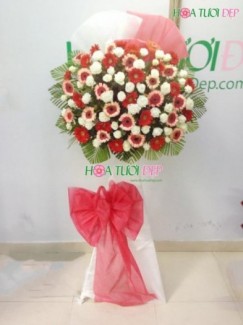 Hoa Khai Trương KT086, 748.000đ