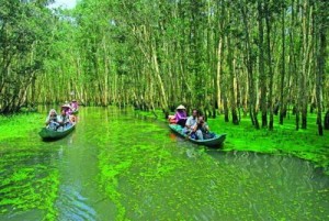 Rừng Tràm Trà Sư