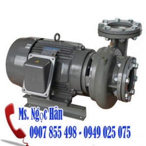 Máy bơm ly tâm trục ngang đầu gang EVERGUSH CP-2.37 giá rẻ bất ngờ chiết khấu cao