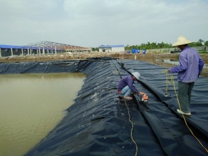 Thi Công Hàn Bạt, Hồ tôm, hầm biogas