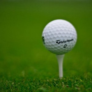 Sử dụng cỏ Bermuda 419 làm cỏ Fairway, cỏ TipEagle, Paspalum làm cỏ green, các khu vực khác tùy vào thiết kế duyệt và chúng tôi sẽ chỉ định cỏ phù hợp theo đúng yêu cầu kỹ thuật phải có của nó.
Đây là hai dòng cỏ được nhập từ Mỹ. Cỏ chuyên dùng cho các sân golf và đã được sử dụng cho sân golf Him Lam, sân golf Long Biên, sân golf Sông Bé, sân golf Tân Sơn Nhất, sân golf Phan Thiết, sân golf Long Thành, sân golf Hoa VIệt, sân golf Đồng Mô, sân golf Đồng Nai, sân golf Vân Trì, sân golf Tuần Châu, sân golf Camela Hải Phòng, sân golf IDICO Nhơn Trạch 1.. và rất nhiều sân golf trên khắp lãnh thổ VN.
Thích hợp cho vùng biển.