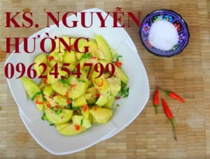 Chuyên cung cấp giống cay cóc thái (cóc bao tử.cóc tứ quý) chất lượng cao