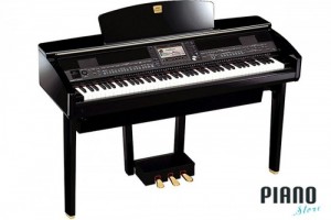 Piano Store: Hệ thống cung cấp sỉ&lẻ các loại Piano và guitar UY TÍn Nhất TP.HCM !!!