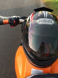 Bán benelli 302