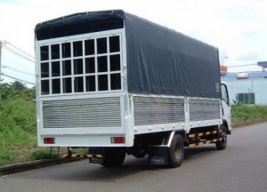Chuyên dọn kho hàng hóa công ty giá ưu đãi nhất