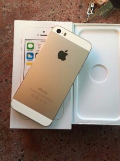 Iphone 5S 32G – Quốc tế - Gold – 99%