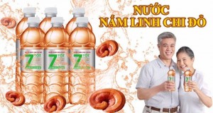 Nước nấm linh chi đỏ 7 tốt