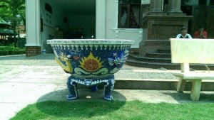 chậu long phụng