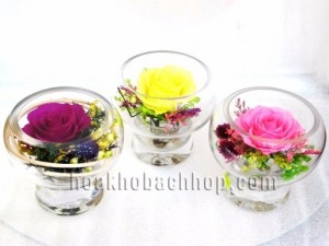 Lọ Hoa Khô 195.000VND/ Lọ ---> 210.000 VND