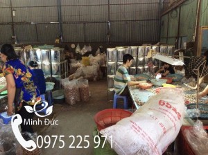 Xưởng sản xuất hạt điều rang muối, cơ sở sản xuất hạt điều rang muối giá rẻ