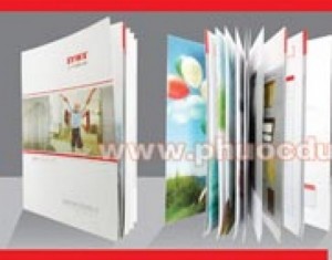 Chuyên: in lịch, catalogue,decal, bao thư
