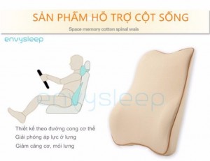 Combo gối sức khỏe trên ô tô envysleep