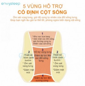 Combo gối sức khỏe trên ô tô envysleep