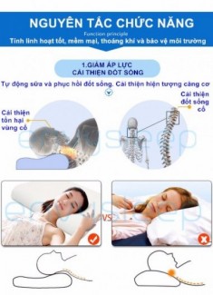 Gối Nằm Sức Khỏe Bảo Vệ Cổ Envysleep