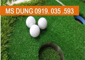 Bóng nổi golf, thảm golf, tee golf,   bóng golf cho sân tập,