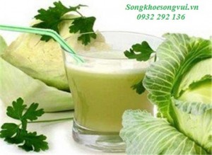 Cải bắp giúp làm lành vết viêm loét hệ tiêu hóa