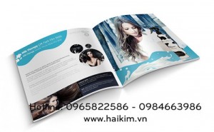 Quy trình thiết kế Catalogue và Brochure ở Hải Kim