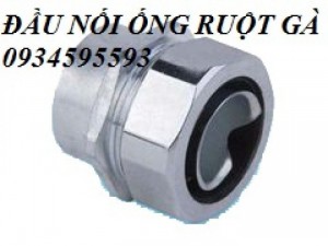 Đầu nối 25,đầu nối ống ruột gà lõi thép phi 25