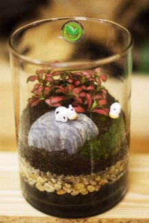 Tiểu cảnh mini