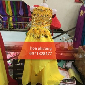 May bán cho thuê trang phuc biểu diễn