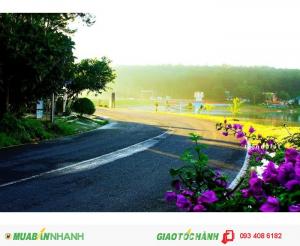 Đà lạt 2 ngày 2 đêm