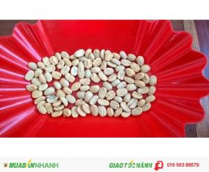 Cà phê Moka sạch Đà Lạt