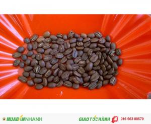 Cà phê Moka sạch Đà Lạt
