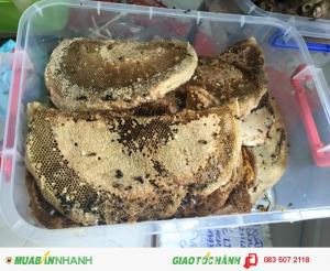 sáp ong rừng U Minh giá 280k/kg