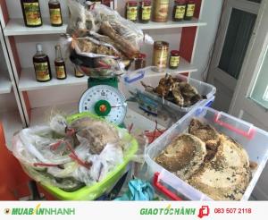 Các sản phẩm từ ong rừng U Minh
