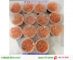 Đông Trùng Hạ Thảo Thiên Phúc tươi, 100% tự nhiên
