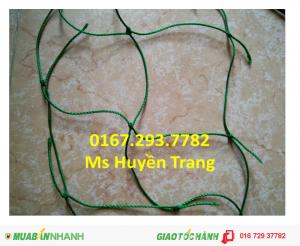 Lưới an toàn chắn sân bóng đá loại 380/51