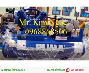 Máy nén khí puma đài loan, trung quốc công suất 1hp 3hp 15hp áp lực 8bar