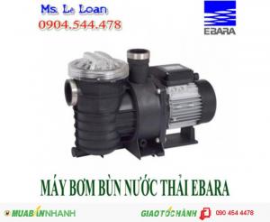 Độc Quyền Máy Bơm Ebara Tại HCM.