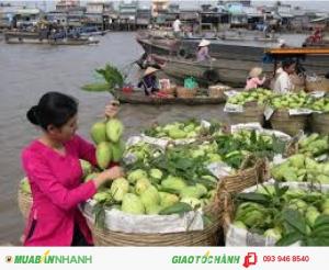 Chợ nổi Cái Răng