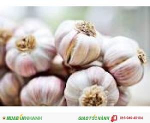 Tinh Dầu nguyên chất, chiết xuất từ Củ Tỏi 1000ml