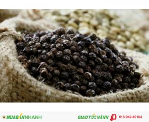 TD tiêu đen- 5.500.000