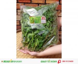 Rau Rừng Tây Ninh - Giao hàng tận nơi tại TP HCM dù chỉ 1 Kg