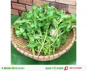 Rau Rừng Tây Ninh