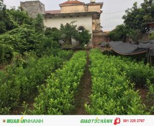 Đất và nhà
