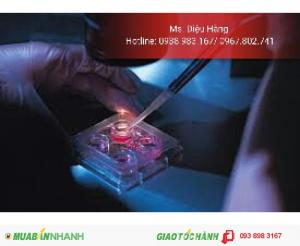 Phác đồ điều trị thụ tinh ống nghiệm - Lựa chọn giới tính