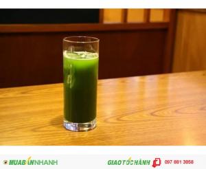 Bột trà xanh Matcha Nhật Bản