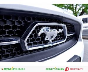 Ford Mustang GT Premium 2015 phiên bản kỷ niệm 50 năm hiếm ở Việt Nam