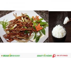 Khô nhái An Giang - Vũ nữ chân dài