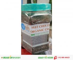 Hạt CHIA