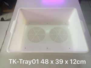 Mới !!! Bạn muốn trồng rau an toàn ăn tại nhà ? Đã có khay rau mầm THAKICO