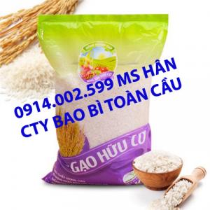 Túi gạo màu sắc đẹp