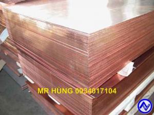 Đồng tấm, Đồng đỏ, Đồng da cóc, Đồng thỏi, COPPER CATHODE