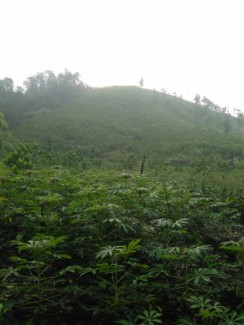 Đất trang trại