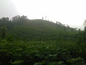 Đất trang trại