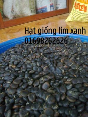 Hạt lim xanh chất lượng cao